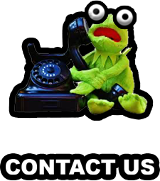 an intense looking frog holding a phone indicating go to our instagram