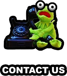 an intense looking frog holding a phone indicating go to our instagram